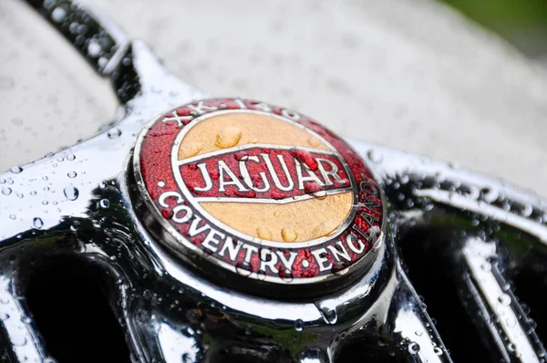 Jaguar XK140closeup shot — Stock Photo, Image