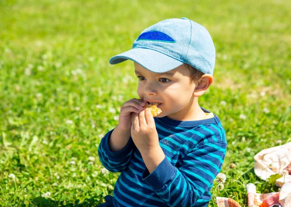 Маленький мальчик ест печенье на газоне — стоковое фото