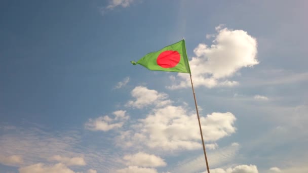 Bandeira de triângulo verde com ponto vermelho contra o céu azul na França — Vídeo de Stock