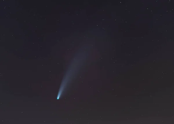 Comet Neowise na noční obloze — Stock fotografie