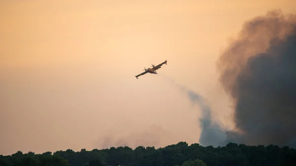 Kétéltű vízbombázó repülés közben — Stock Fotó