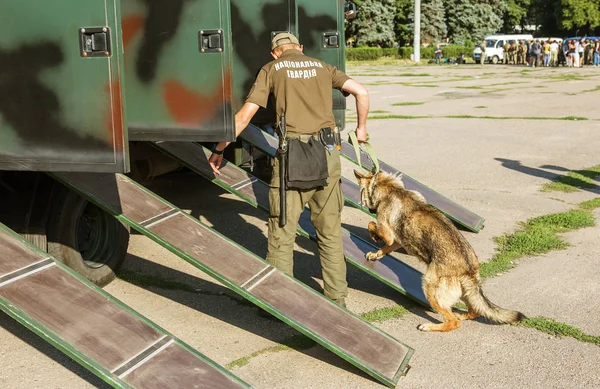 Одеса Україна Серпня 2018 Спеціальну Поліцію Поліції Навчених Собак Поліції — стокове фото