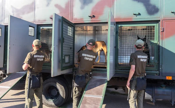 Odessa Ukraine August 2018 Special Police Police Trained Police Dogs — Stock Photo, Image