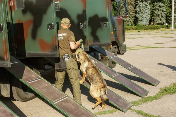 Одеса Україна Серпня 2018 Спеціальну Поліцію Поліції Навчених Собак Поліції — стокове фото