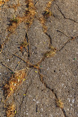Bozuk yol çukurların ve noktalar, Ukrayna kırık asfalt kılıçla. Büyük delikli çok kötü asfalt yol. Korkunç teknoloji inşaat yollar. Çok sayıda tehlikeli hataları. Kötü yol. Yol onarım