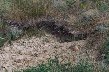 Sesmically tehlikeli bölgede dağ heyelan felaketi. Toprak, toprak engelleme yolun büyük katmanları kökenli büyük çatlaklar. İnsanlara heyelan pistlerinin dağın damming, ölümcül bir tehlike