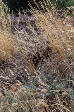 Sesmically tehlikeli bölgede dağ heyelan felaketi. Toprak, toprak engelleme yolun büyük katmanları kökenli büyük çatlaklar. İnsanlara heyelan pistlerinin dağın damming, ölümcül bir tehlike