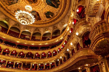 Odessa, Ukrayna - 16 Temmuz 2016: Ukraynalı şarkıcı Jamala solo konser, Opera Binası. Hall fanlar memnun. Gözde caz orkestrası konser sırasında yaratıcı ışık ve müzik seyirci göster