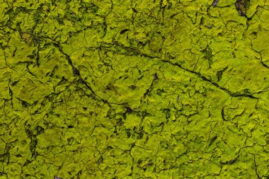 Eski boyalı mavi soyulmuş iç duvar arka plan yıpranmış. Kuşbaşı eski püskü duvarı yıkık sıva katmanı doku ile kırık. Soyut Mavi beyaz yatay boş duvar kağıdı. Soyut Web Banner