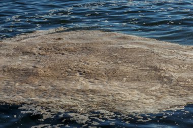 Deniz suyu kirli. Su üzerinde kir. Kirli yağ lekeleri yüzeyi deniz suyu kanalizasyon akış sonucu olarak kirlenmiş. çamur dalgalanmalar. Çöp. Ekolojik sorun. Banyo, kopyalanamaz, çoðaltýlamaz, taklit edilemez plaj kapalı