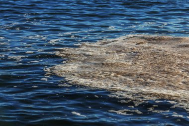 Deniz suyu kirli. Su üzerinde kir. Kirli yağ lekeleri yüzeyi deniz suyu kanalizasyon akış sonucu olarak kirlenmiş. çamur dalgalanmalar. Çöp. Ekolojik sorun. Banyo, kopyalanamaz, çoðaltýlamaz, taklit edilemez plaj kapalı