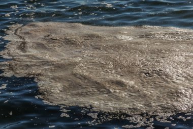 Deniz suyu kirli. Su üzerinde kir. Kirli yağ lekeleri yüzeyi deniz suyu kanalizasyon akış sonucu olarak kirlenmiş. çamur dalgalanmalar. Çöp. Ekolojik sorun. Banyo, kopyalanamaz, çoðaltýlamaz, taklit edilemez plaj kapalı