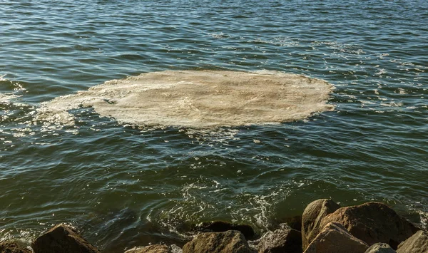 더러운 바닷물 바닷물의 표면에 더러운 됩니다 잔물결 쓰레기입니다 문제입니다 입욕은 — 스톡 사진