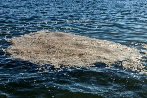 海の水は汚い 水の汚れ 海の水の表面に汚れたオイル スポットが下水の流出の結果として汚染されています 泥を波紋します 生態学的な問題があります 入浴が禁止されています ビーチの定休日は — ストック写真