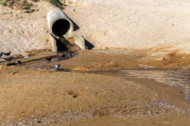 Kötü tedavi atıksu deniz kenarı Beach bölgesinde denize serbesttir. Çevre kirliliği. Sıhhi normların ihlali. Banyo, kopyalanamaz, çoðaltýlamaz, taklit edilemez İnsanlar için tehlike. Odessa, Ukrayna