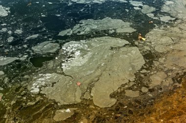 Endüstriyel atıksu axım sonucu olarak kirlenmiş göl su yüzeyi kirli yağ lekeleri. Petrol göl kenarında arabada yıkadıktan sonra nokta. Ekolojik sorun.