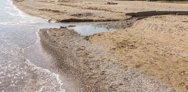 Schmutzwasser Und Hausmüll Kleinem Fluss Bewässerungskanal Verursacht Schnelles Algenwachstum Wasserverschmutzung — Stockfoto