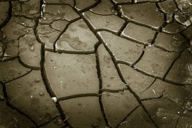 Kuraklık. Göl kuru alt. Ölü kuru topraklardan kuraklık. Çatlak kuraklık toprak kuru. Kuraklık, iklim değişikliği, nem olmadan ölüm kavramı. Ekoloji. Felaket. Kırık mistisizm