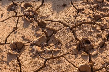 Kuraklık. Göl kuru alt. Ölü kuru topraklardan kuraklık. Çatlak kuraklık toprak kuru. Kuraklık, iklim değişikliği, nem olmadan ölüm kavramı. Ekoloji. Felaket. Kırık mistisizm