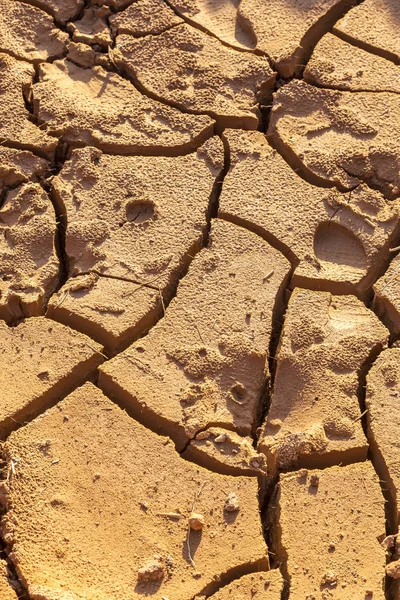 Sequía Fondo Seco Del Lago Tierra Seca Muerta Por Sequía —  Fotos de Stock