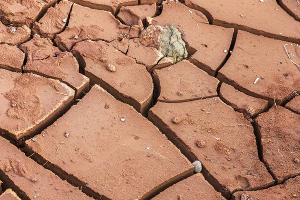 Kuraklık Göl Kuru Alt Ölü Kuru Topraklardan Kuraklık Çatlak Kuraklık — Stok fotoğraf