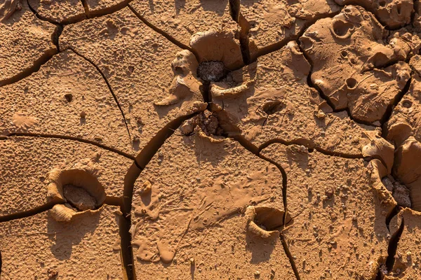Drought Dry Bottom Lake Dead Dry Land Drought Dry Fissured — Stock Photo, Image