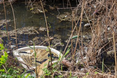Kirli kanalizasyon ve küçük nehir ev çöpleri, sulama kanalı alg hızlı büyüme neden olur. Su kirliliği. Ekolojik sorun. Sorun plastik. Su kullanımı tehlikelidir, bu yasaktır