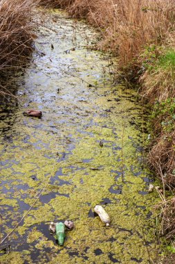 Kirli kanalizasyon ve küçük nehir ev çöpleri, sulama kanalı alg hızlı büyüme neden olur. Su kirliliği. Ekolojik sorun. Sorun plastik. Su kullanımı tehlikelidir, bu yasaktır