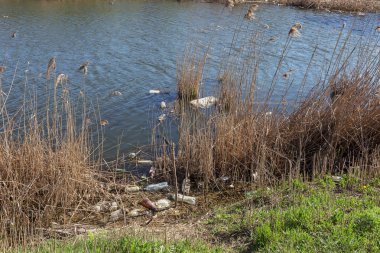 Kirli kanalizasyon ve küçük nehir ev çöpleri, sulama kanalı alg hızlı büyüme neden olur. Su kirliliği. Ekolojik sorun. Sorun plastik. Su kullanımı tehlikelidir, bu yasaktır