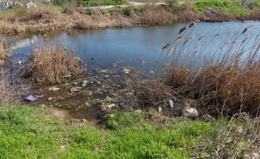 Kirli kanalizasyon ve küçük nehir ev çöpleri, sulama kanalı alg hızlı büyüme neden olur. Su kirliliği. Ekolojik sorun. Sorun plastik. Su kullanımı tehlikelidir, bu yasaktır