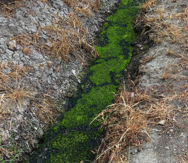 Vuile Afvalwater Samen Met Riolering Een Open Sloot Langs Straat — Stockfoto