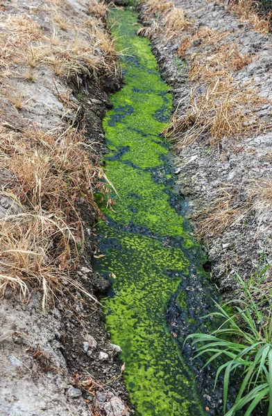 Vuile Afvalwater Samen Met Riolering Een Open Sloot Langs Straat — Stockfoto