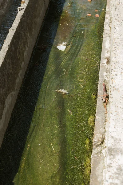 Verontreinigd Water Afvalwater Afval Wordt Afgevoerd Door Pijp Zee Een — Stockfoto