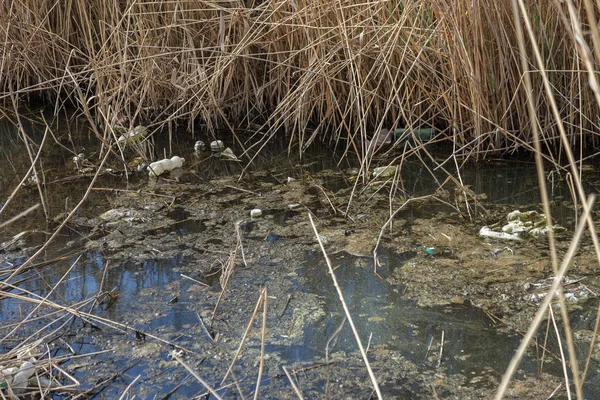 Brudnymi Ścieków Domowymi Małej Rzece Nawadniania Kanału Powoduje Szybki Wzrost — Zdjęcie stockowe