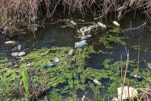 Las Aguas Residuales Sucias Basura Doméstica Río Pequeño Canal Riego — Foto de Stock