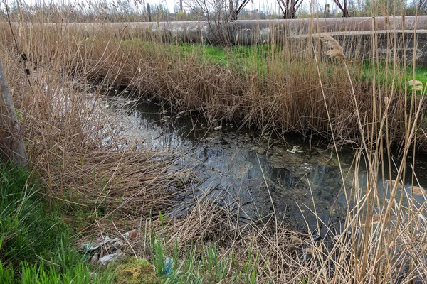 Smutsiga Avlopp Och Hushållssoporna Liten Flod Bevattning Kanal Orsakar Snabb — Stockfoto