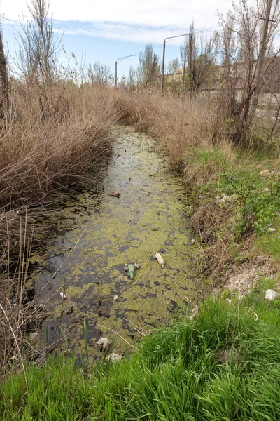 Kirli kanalizasyon ve küçük nehir ev çöpleri, sulama kanalı alg hızlı büyüme neden olur. Su kirliliği. Ekolojik sorun. Sorun plastik. Su kullanımı tehlikelidir, bu yasaktır