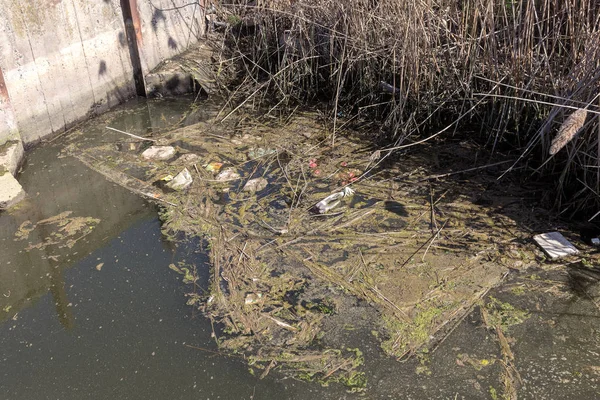 Βρώμικο Λυμάτων Και Οικιακών Απορριμμάτων Στο Μικρό Ποτάμι Αρδευτικό Κανάλι — Φωτογραφία Αρχείου