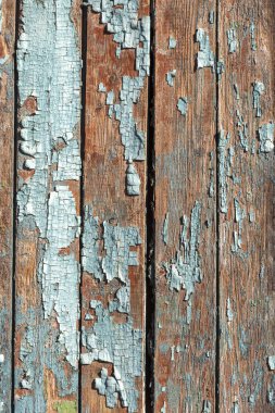 Vintage ahşap arka plan doku ahşap yıpranmış rustik duvar soyulması boya ile boyanmış. Kopya eski ahşap doku için boş alanı. Boya ile lots-in küçük çatlaklar, Soyut doku kırık