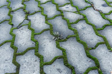 Çukurlar, kışın donma-çözülme çevrimleri neden olan bozuk asfalt yol. Kötü yol. Kaldırımlar kaldırımlar kaldırımda kırık. kaldırım döşeme ile kusurları ile tabaka ve perspektif içinde gelen çatlaklar
