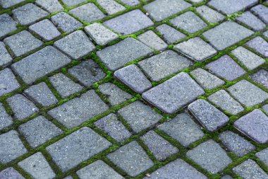 Çukurlar, kışın donma-çözülme çevrimleri neden olan bozuk asfalt yol. Kötü yol. Kaldırımlar kaldırımlar kaldırımda kırık. kaldırım döşeme ile kusurları ile tabaka ve perspektif içinde gelen çatlaklar