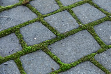 Çukurlar, kışın donma-çözülme çevrimleri neden olan bozuk asfalt yol. Kötü yol. Kaldırımlar kaldırımlar kaldırımda kırık. kaldırım döşeme ile kusurları ile tabaka ve perspektif içinde gelen çatlaklar
