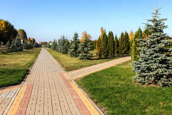 Çukurlar Kışın Donma Çözülme Çevrimleri Neden Olan Bozuk Asfalt Yol — Stok fotoğraf