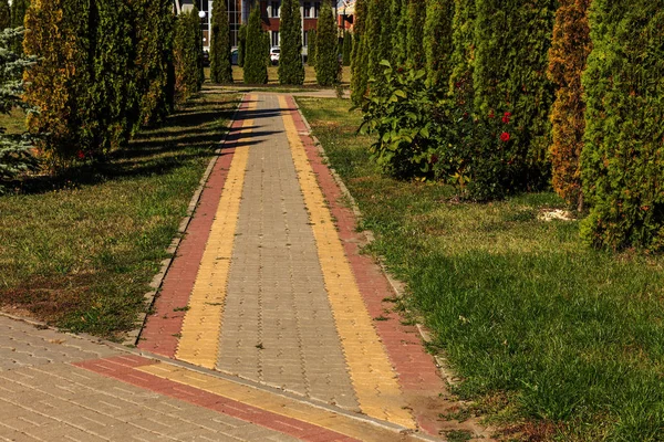 Çukurlar Kışın Donma Çözülme Çevrimleri Neden Olan Bozuk Asfalt Yol — Stok fotoğraf