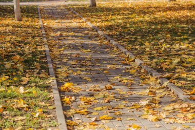 Çukurlar, kışın donma-çözülme çevrimleri neden olan bozuk asfalt yol. Kötü yol. Kaldırımlar kaldırımlar kaldırımda kırık. kaldırım döşeme ile kusurları ile tabaka ve perspektif içinde gelen çatlaklar