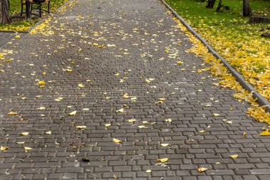 Bulutlu bir günde pitoresk terkedilmiş Botanik Parkı parça eğrileri. Seçici odak için sahne alanı'nın yaratıcı tasarım alan sığ derinliği ile