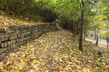 Bulutlu bir günde pitoresk terkedilmiş Botanik Parkı parça eğrileri. Seçici odak için sahne alanı'nın yaratıcı tasarım alan sığ derinliği ile