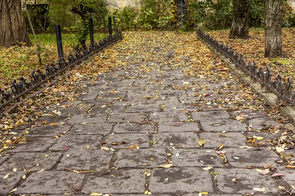 Kurvor Spår Den Pittoreska Övergivna Botaniska Parken Molnig Dag Selektivt — Stockfoto