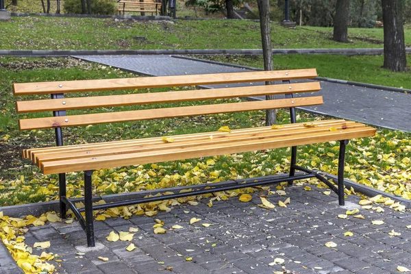 Wooden Bench Autumn Park Selective Focus Shallow Depth Field Creative — Stock Photo, Image