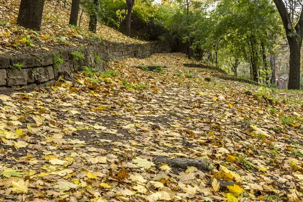 Καμπύλες Της Διαδρομής Στο Γραφικό Εγκαταλειφθεί Βοτανικό Πάρκο Μια Συννεφιασμένη — Φωτογραφία Αρχείου